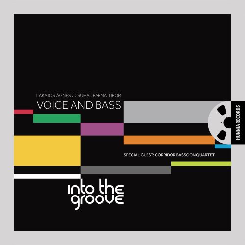 Voice and Bass – Into the Groove