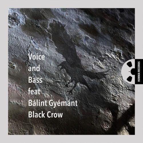 Voice and Bass feat. Bálint Gyémánt – Black Crow
