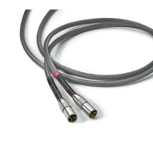 Au24 SX XLR