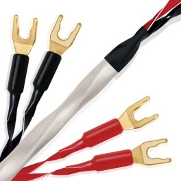 Wireworld Solstice® 10 Speaker Cable 2m