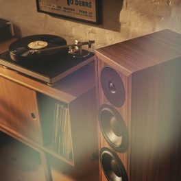 Dynaudio